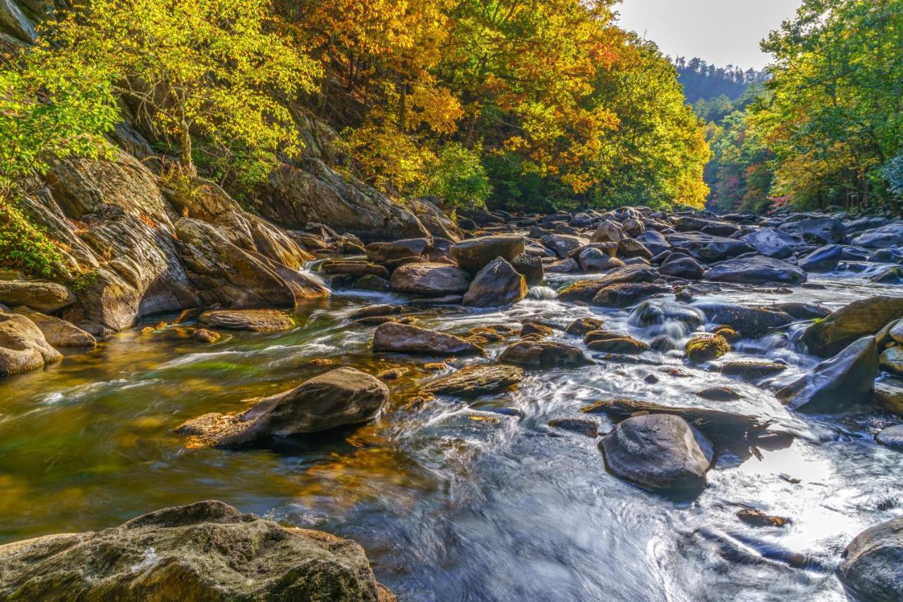 Appartamento City Bear, 2Br, Pool, Spa, Downtown Gatlinburg, Sleeps 6 Esterno foto